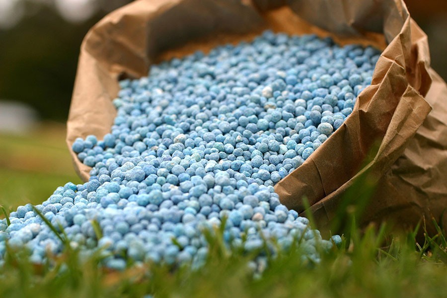 Blue fertiliser in brown bag on green grass